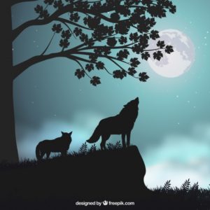 7 frases del libro Las mujeres que corren con los lobos